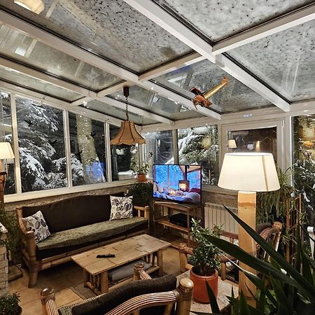 Boutique Hotel Forest Retreat (Adults Only) Buşteni Buitenkant foto