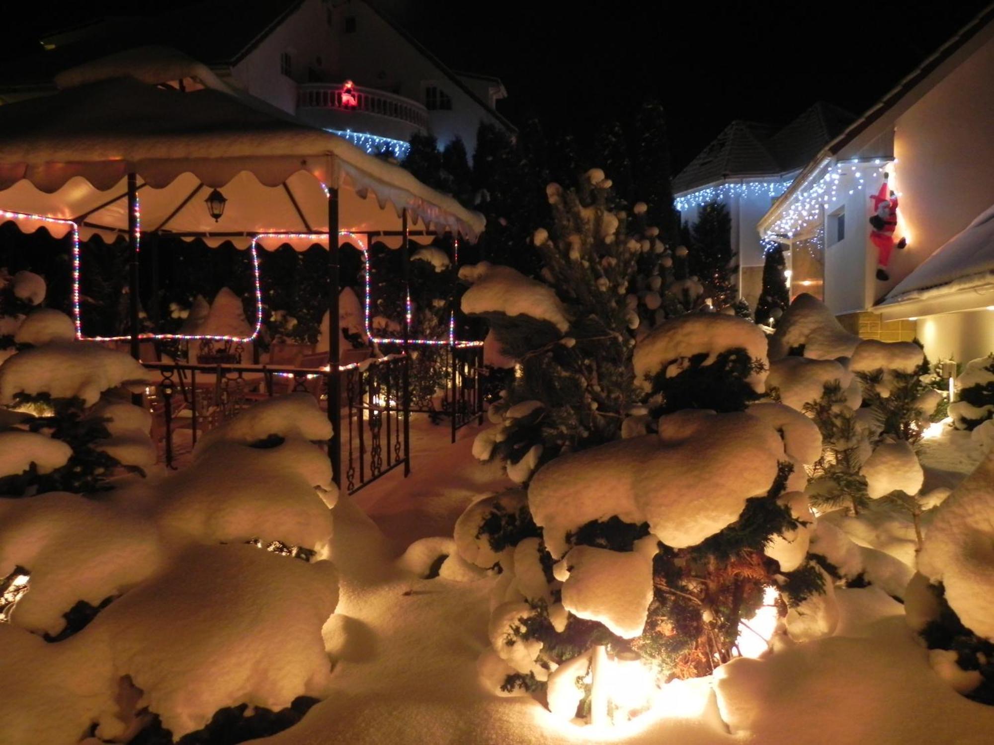 Boutique Hotel Forest Retreat (Adults Only) Buşteni Buitenkant foto