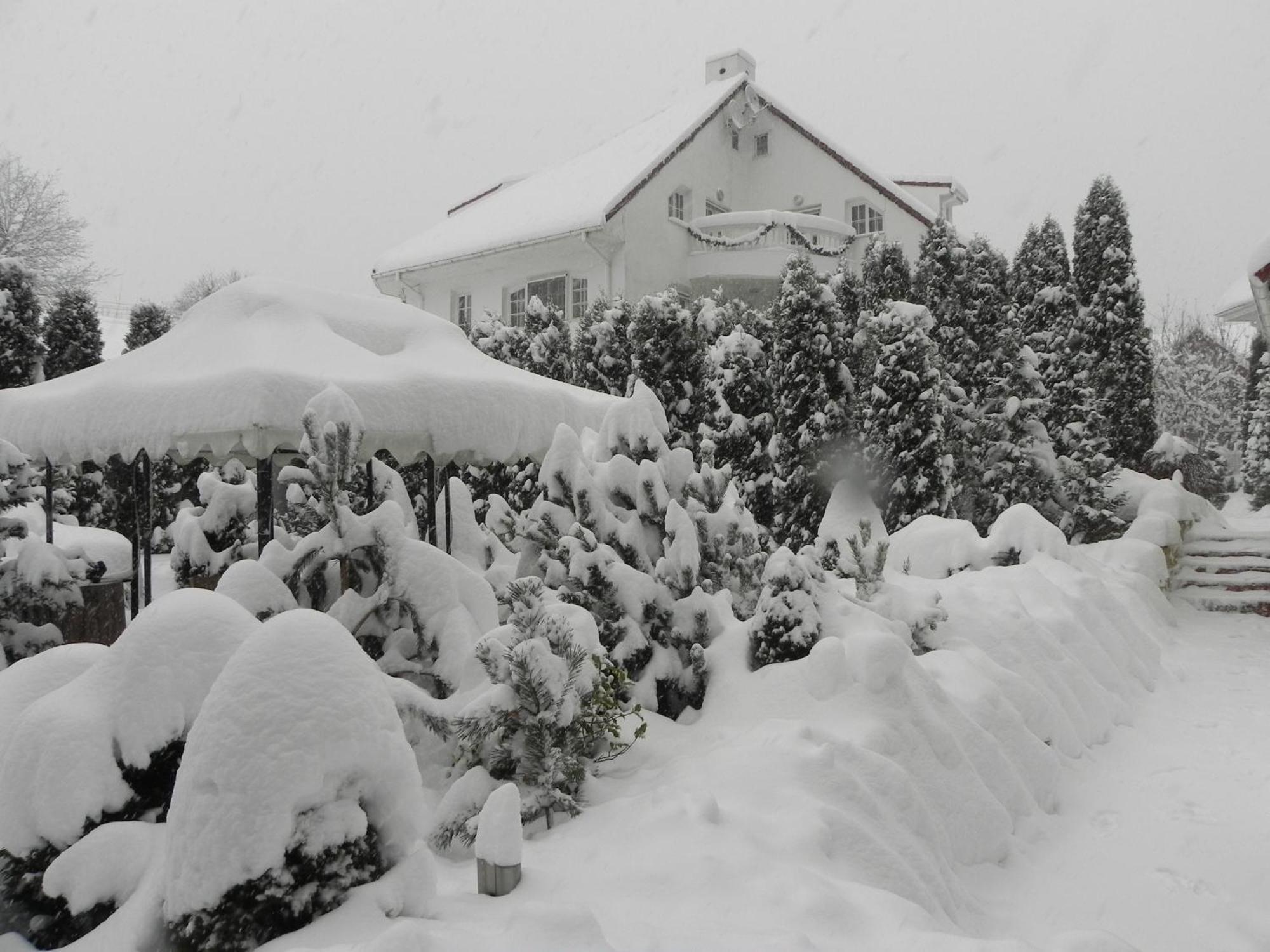 Boutique Hotel Forest Retreat (Adults Only) Buşteni Buitenkant foto