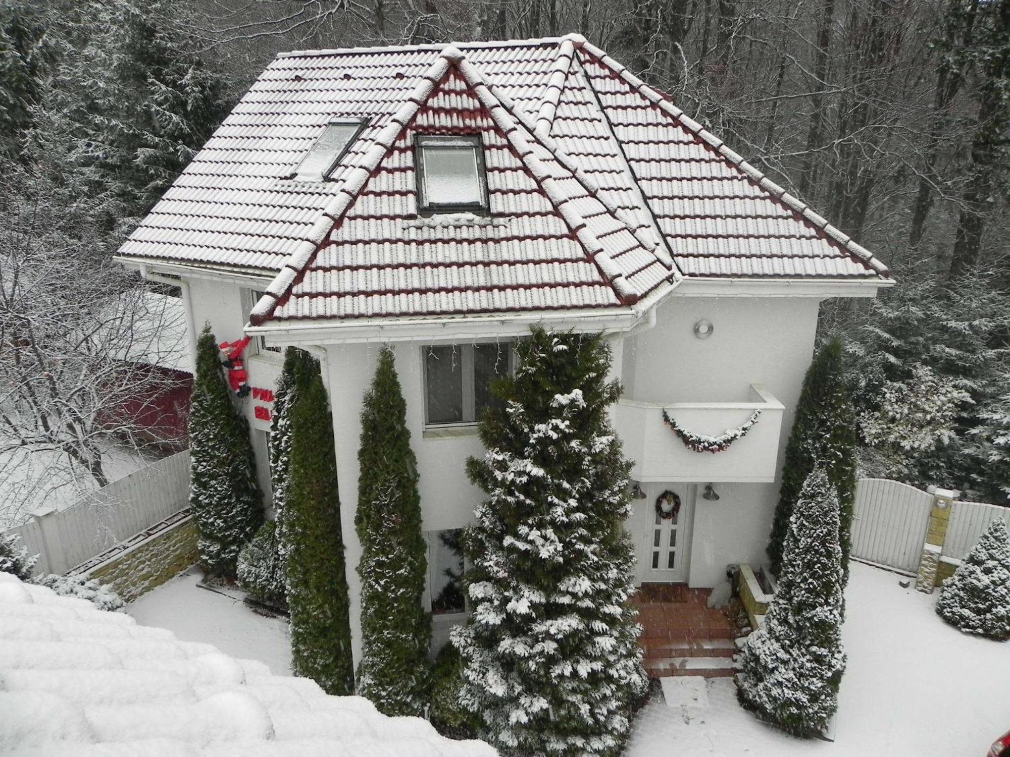Boutique Hotel Forest Retreat (Adults Only) Buşteni Buitenkant foto