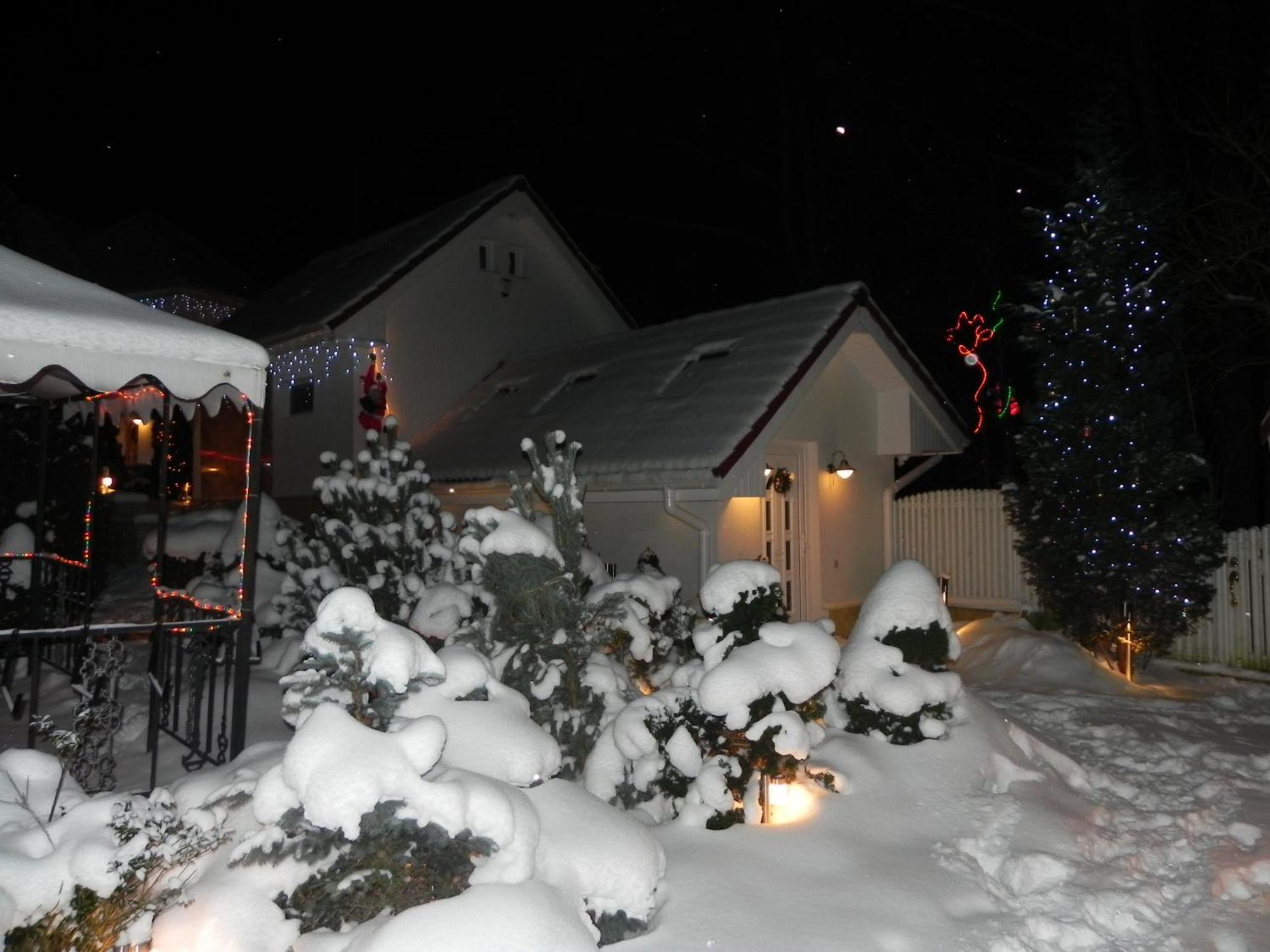 Boutique Hotel Forest Retreat (Adults Only) Buşteni Buitenkant foto