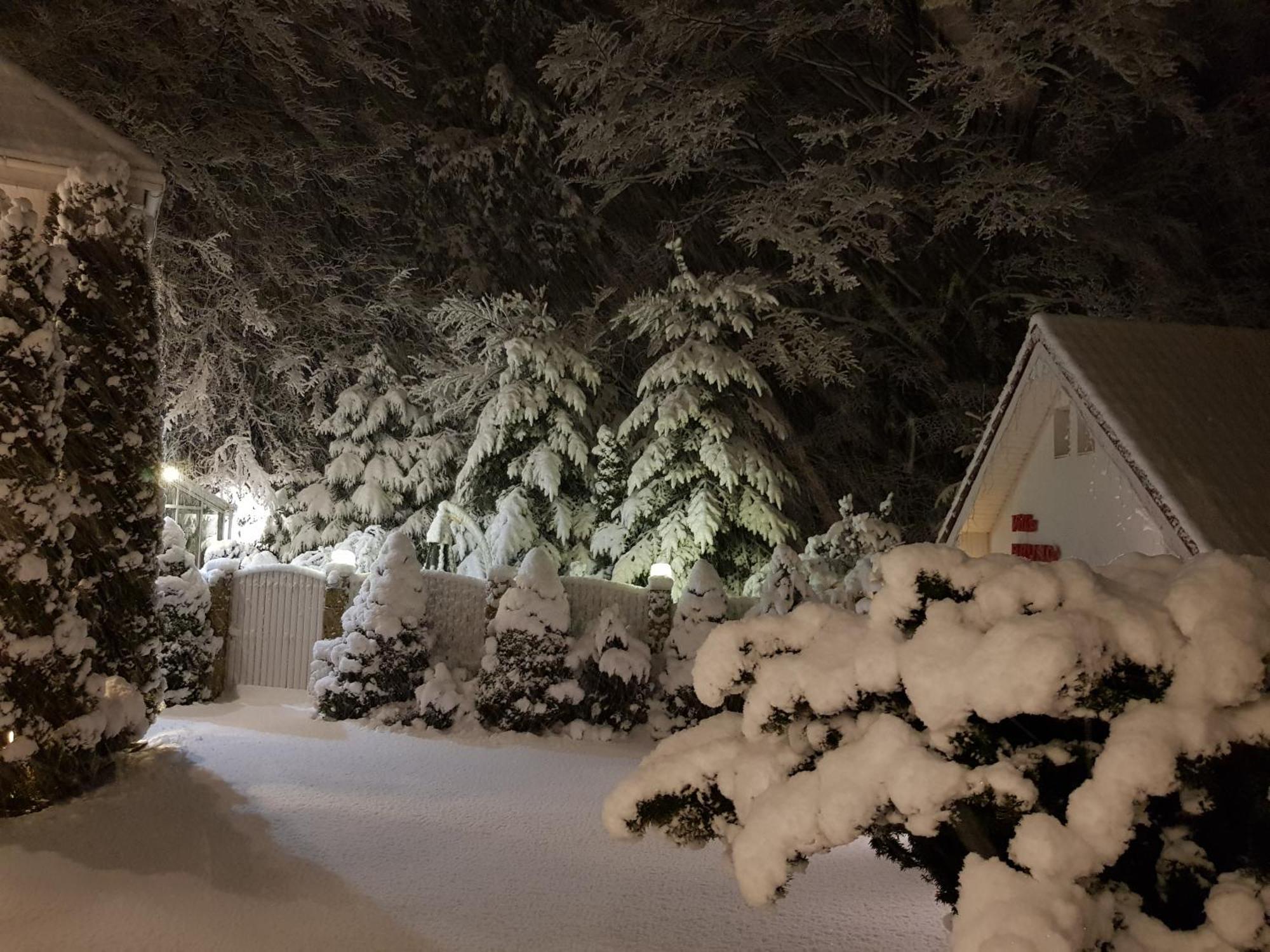 Boutique Hotel Forest Retreat (Adults Only) Buşteni Buitenkant foto