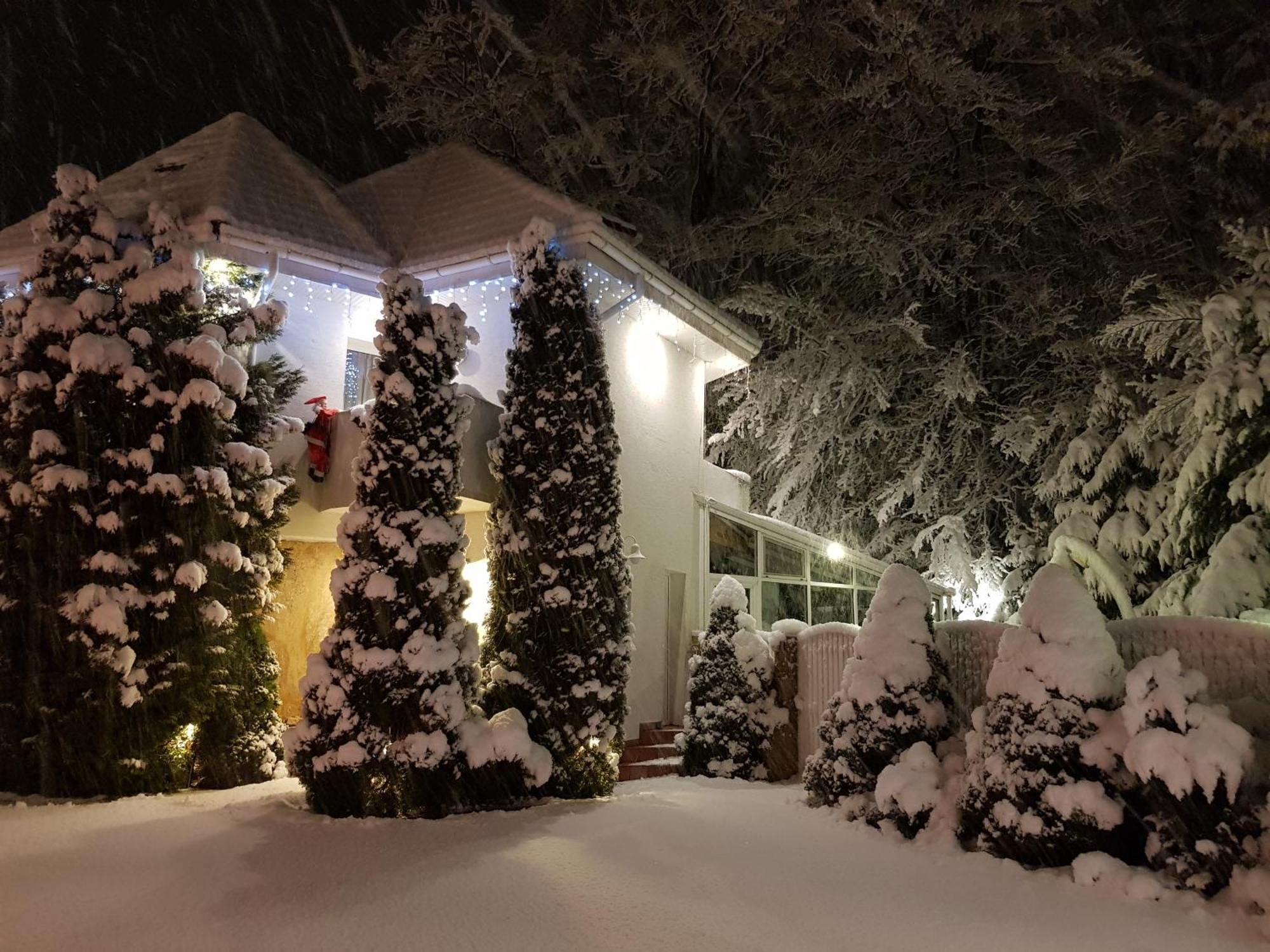 Boutique Hotel Forest Retreat (Adults Only) Buşteni Buitenkant foto