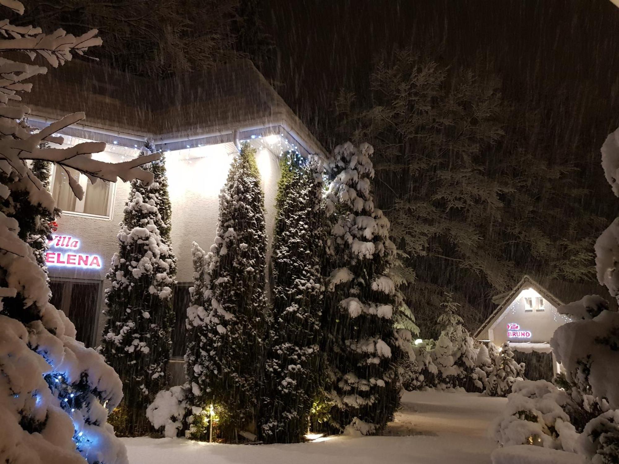 Boutique Hotel Forest Retreat (Adults Only) Buşteni Buitenkant foto