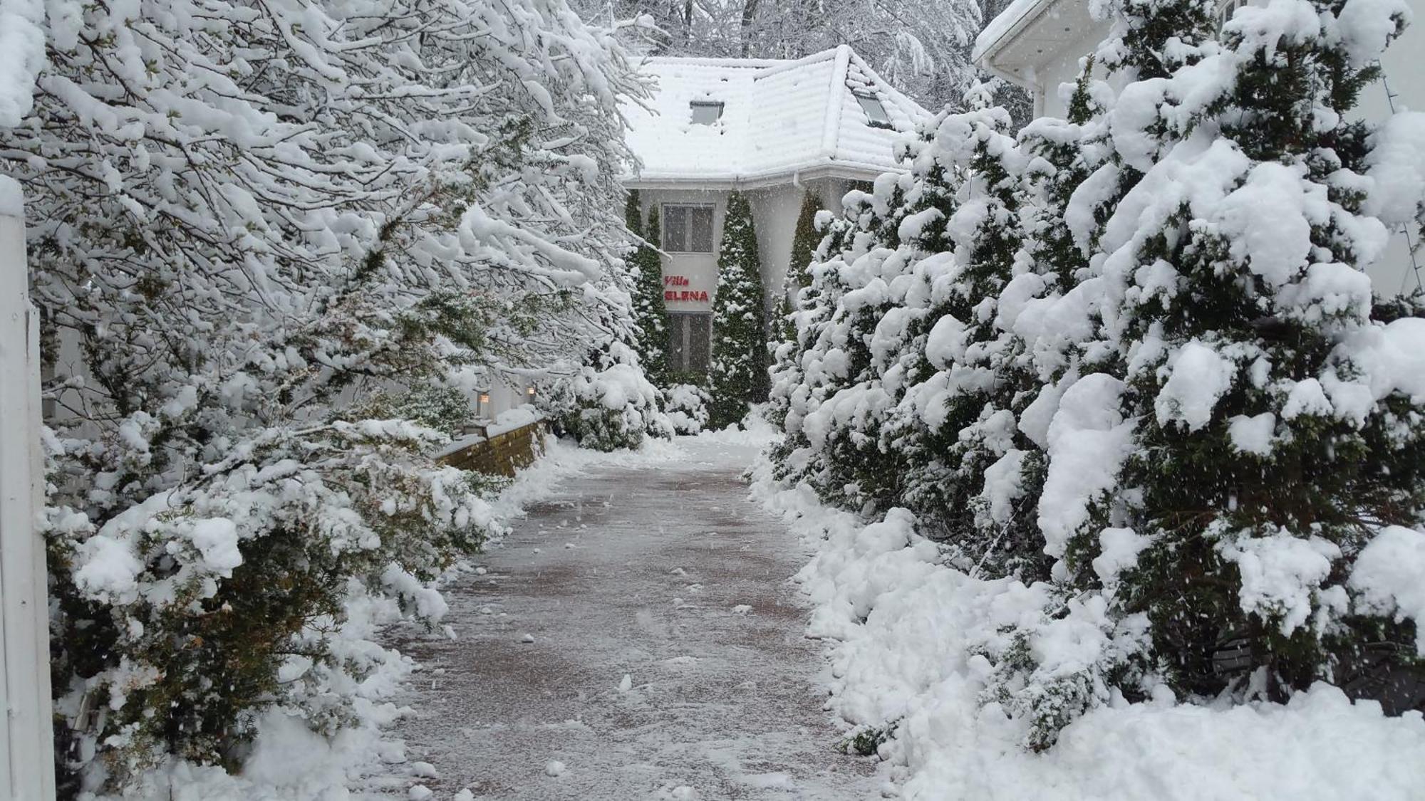 Boutique Hotel Forest Retreat (Adults Only) Buşteni Buitenkant foto