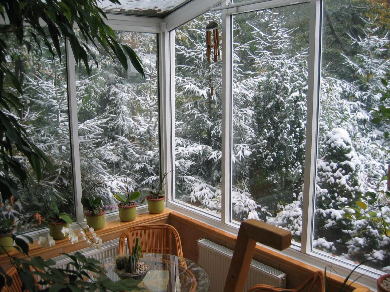 Boutique Hotel Forest Retreat (Adults Only) Buşteni Buitenkant foto