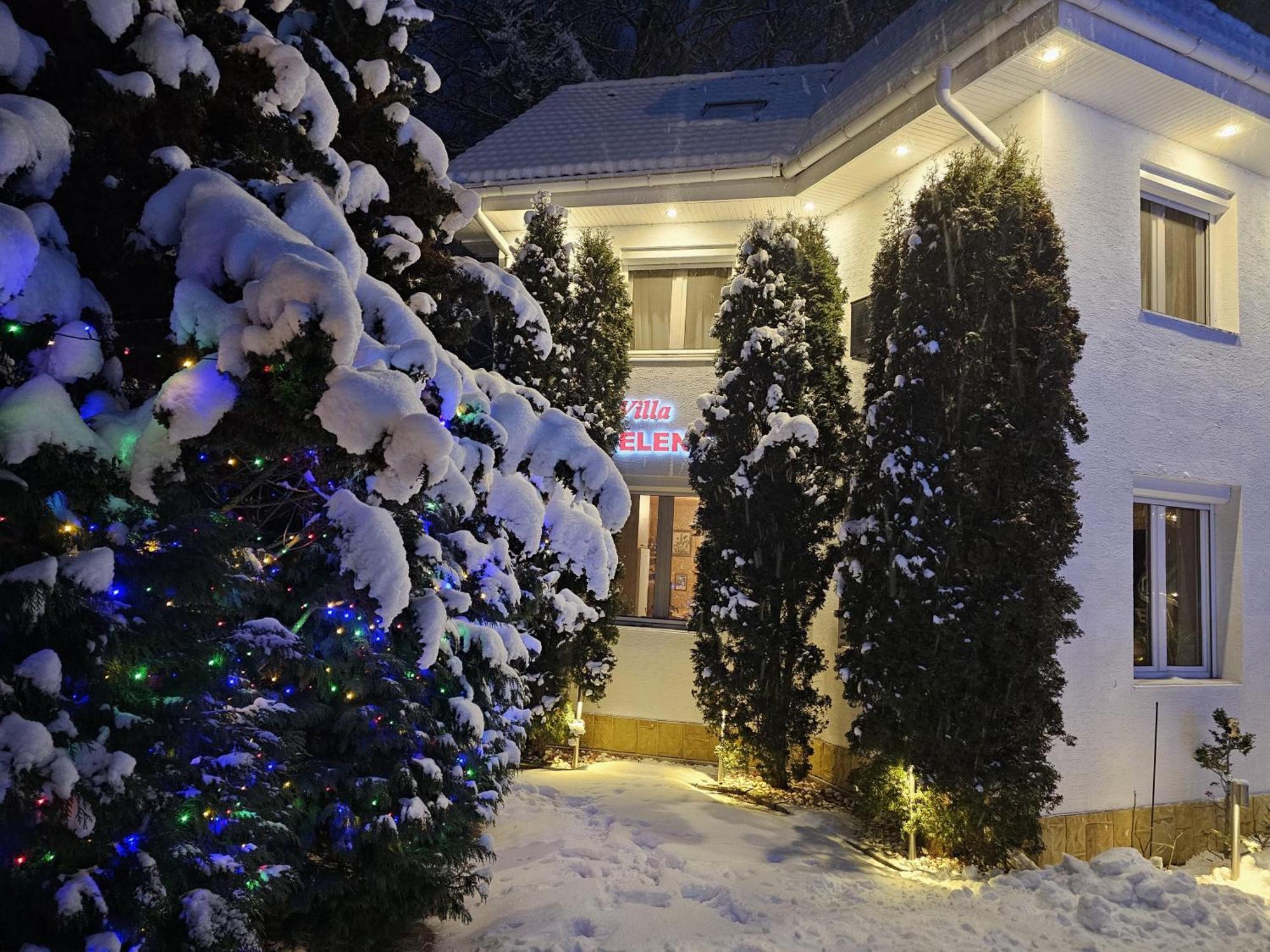 Boutique Hotel Forest Retreat (Adults Only) Buşteni Buitenkant foto