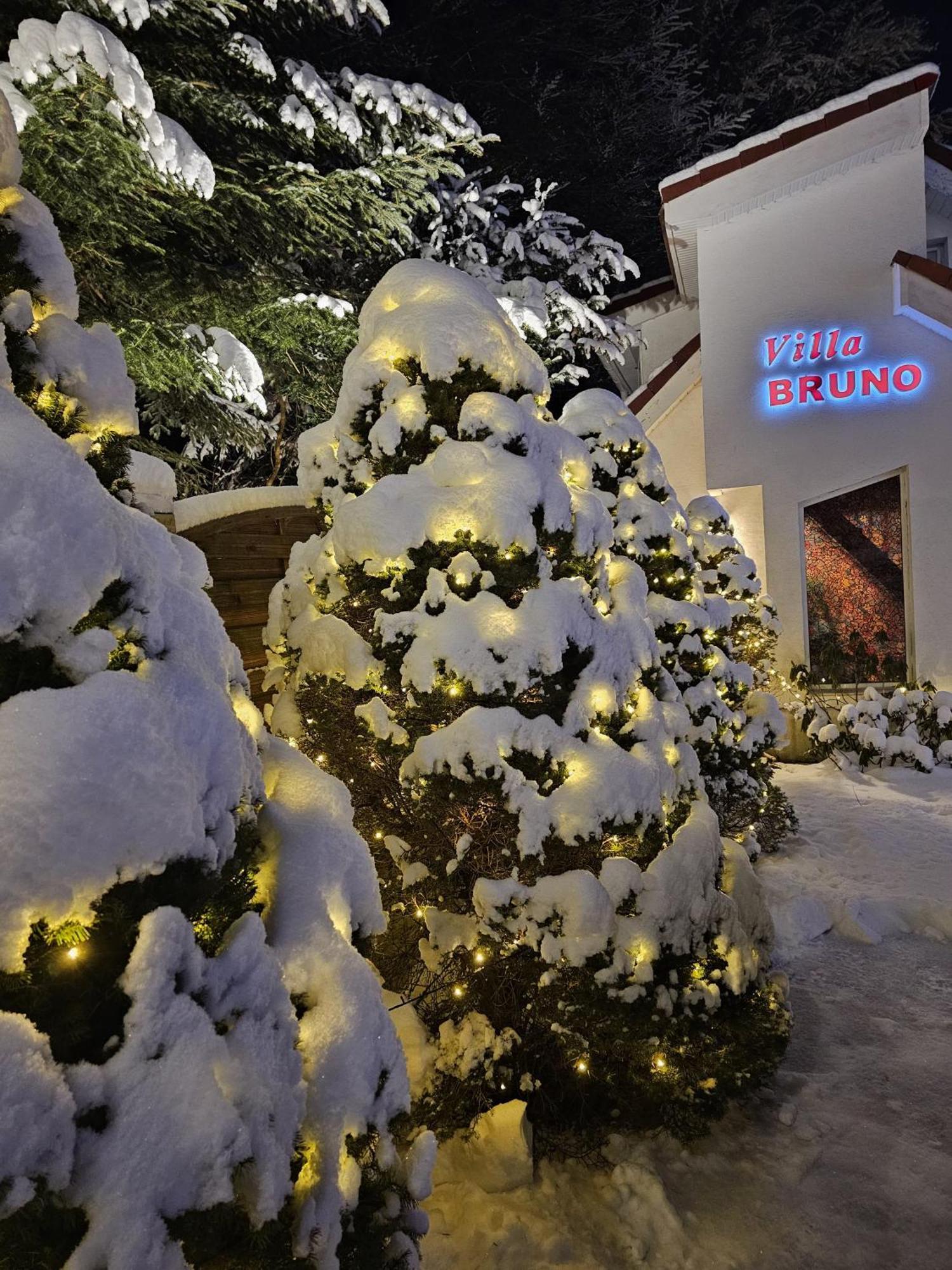 Boutique Hotel Forest Retreat (Adults Only) Buşteni Buitenkant foto