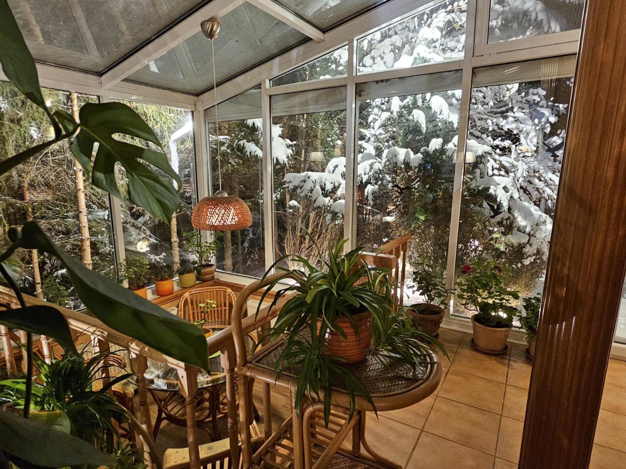 Boutique Hotel Forest Retreat (Adults Only) Buşteni Buitenkant foto