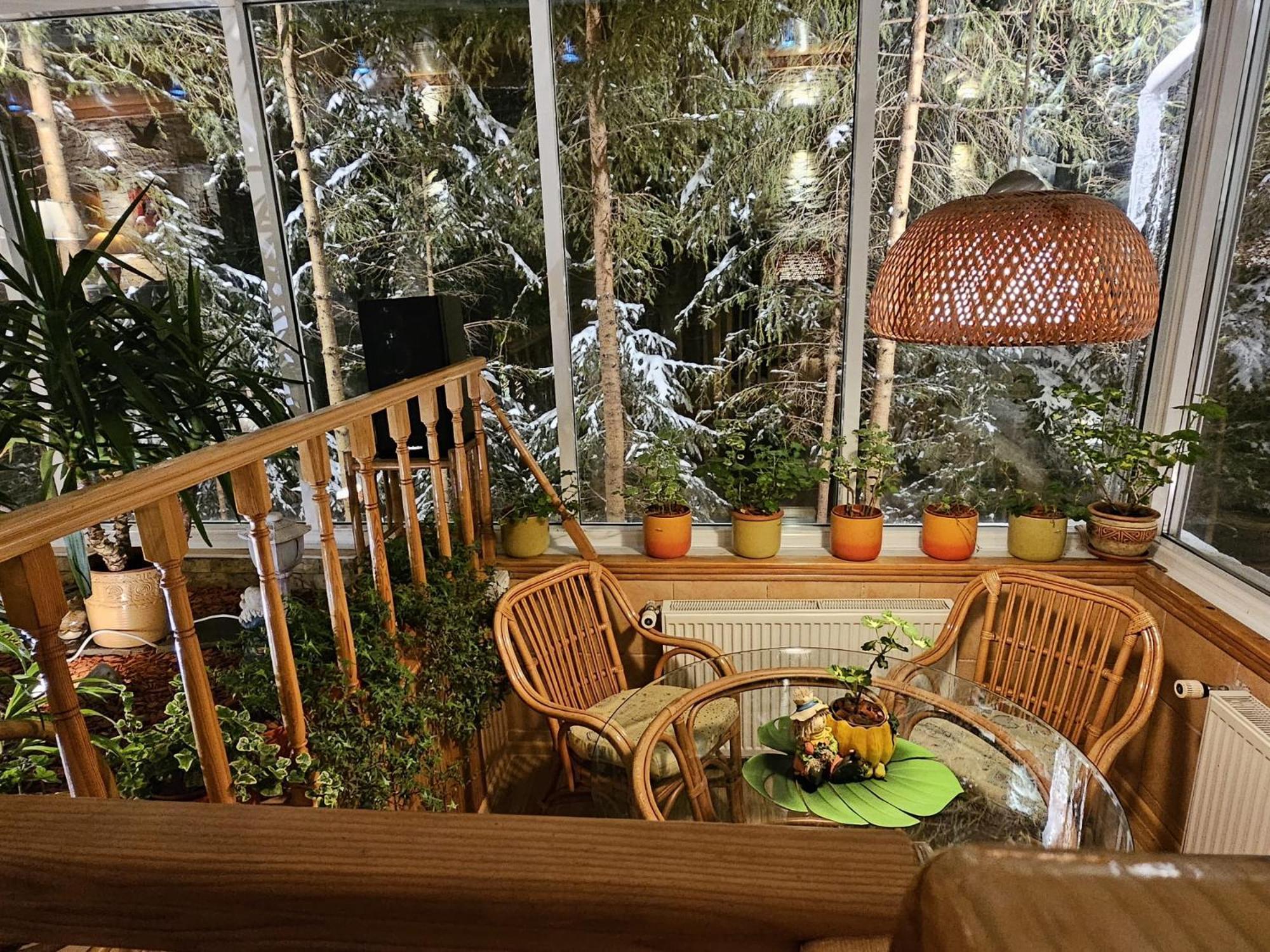 Boutique Hotel Forest Retreat (Adults Only) Buşteni Buitenkant foto